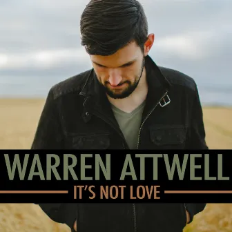 It's Not Love by Warren Attwell