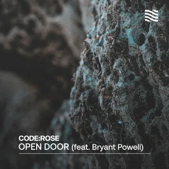 Open Door by code:rose