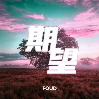 期望 by Foud