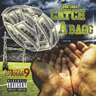 Catch a Bagg by Nikkle 9