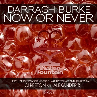 Now Or Never by Darragh Burke