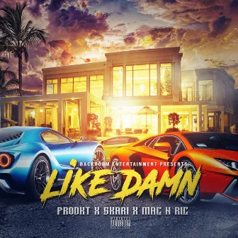 Like Damn by Mac N Ric