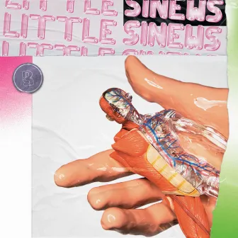 Little Sinews by Rubber