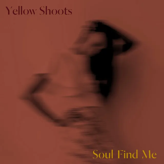 Soul Find Me