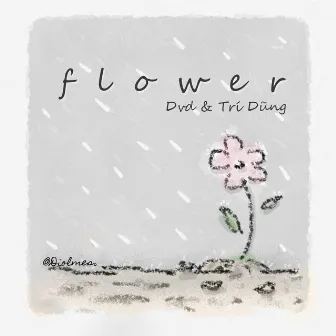 Flower by DVD