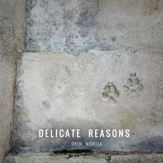 Delicate Reasons by Oriol Novella