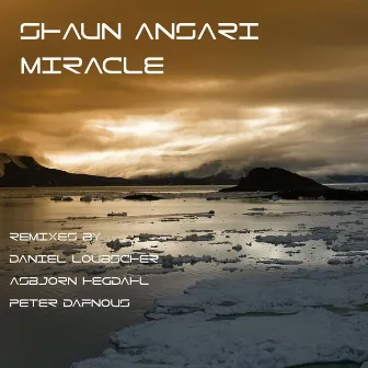 Miracle by Shaun Ansari