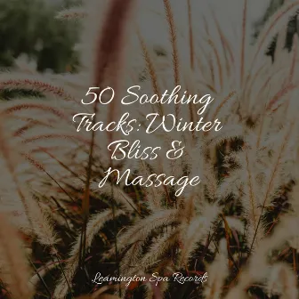 50 Soothing Tracks: Winter Bliss & Massage by Sleep Tight