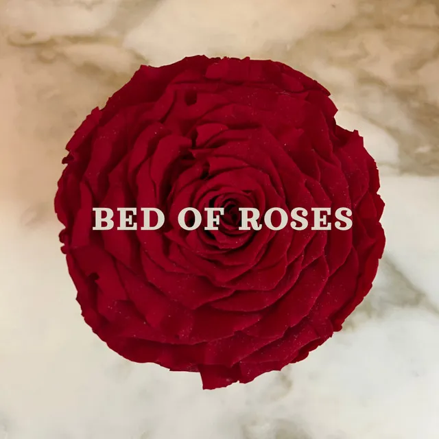 Bed Of Roses