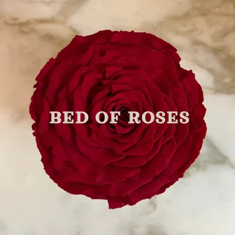 Bed Of Roses by Fairy Muze