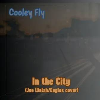 In the City by Cooley Fly