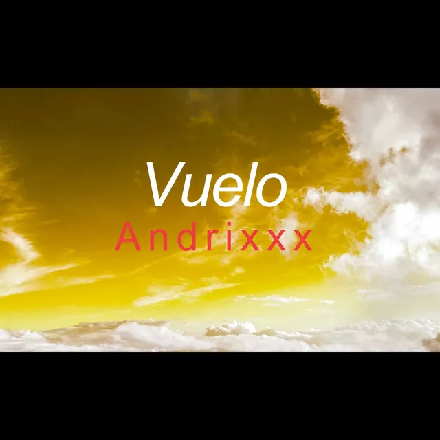 Vuelo