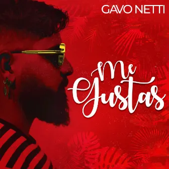 Me Gustas by GAVO NETTI