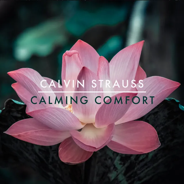 Calming Comfort