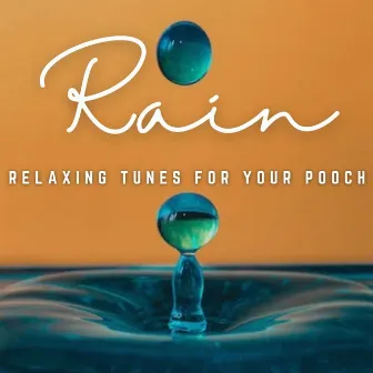 Raindrop Harmony: Relaxing Tunes for Your Pooch by Relaxing Dog Music Playlists