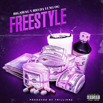 Freestyle by Big Swag