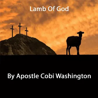 Lamb of God by Apostle Cobi Washington