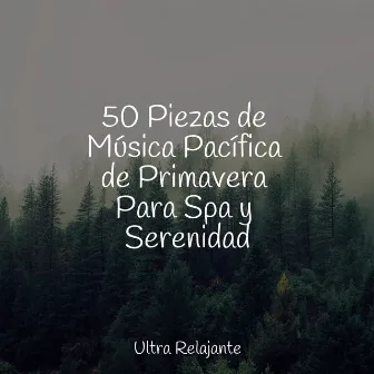 50 Piezas de Música Pacífica de Primavera Para Spa y Serenidad by Canciones Para Niños