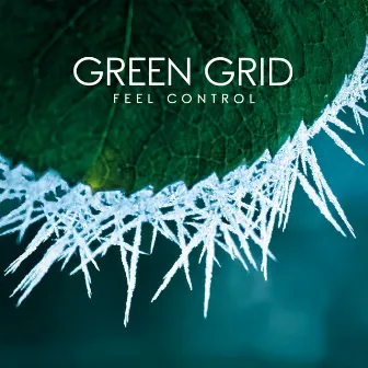 Feel Control by Green Grid