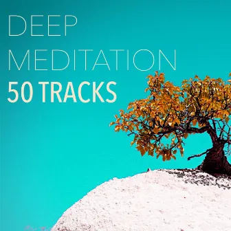 Deep Meditation - 50 Tracks for Shamanic Journeying, White Noise Soothing Soundscapes by Unknown Artist