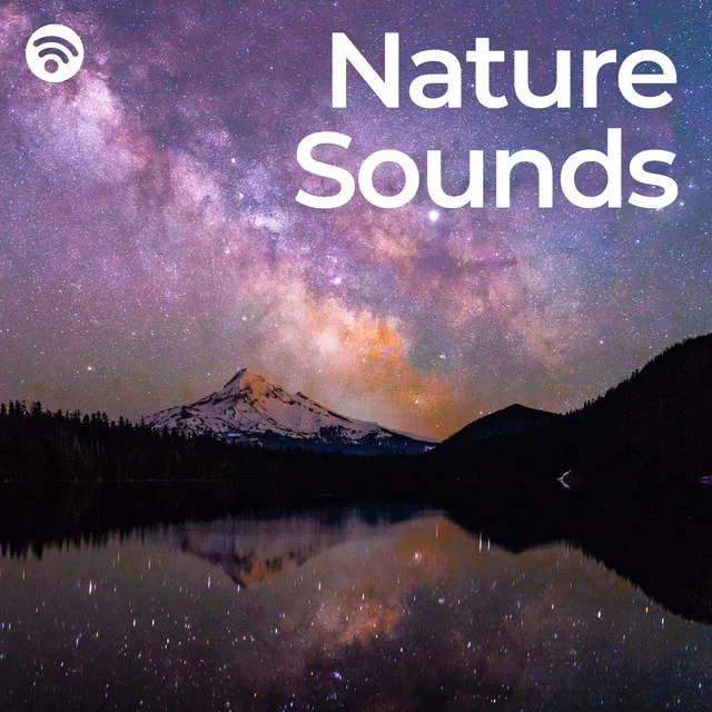 Good Night: Nature Sounds