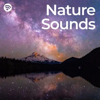 Good Night: Nature Sounds by Music & Nature