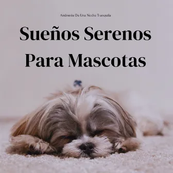 Ambiente De Una Noche Tranquila: Sueños Serenos Para Mascotas by Perros y gatos felices