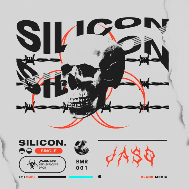 Silicon