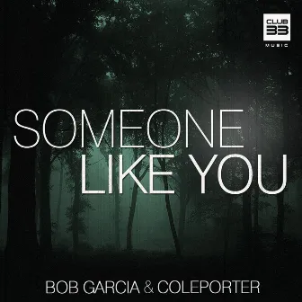 Someone Like You (Radio Edit) by Bob Garcia