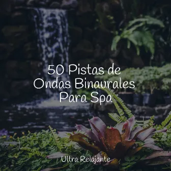 50 Pistas de Ondas Binaurales Para Spa by Dormir