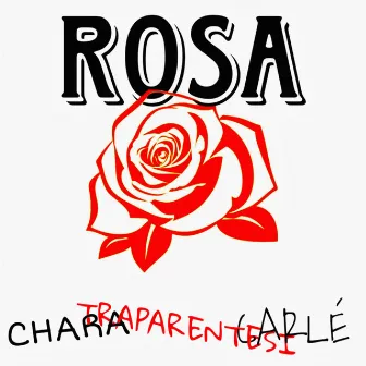 ROSA by traparentesi