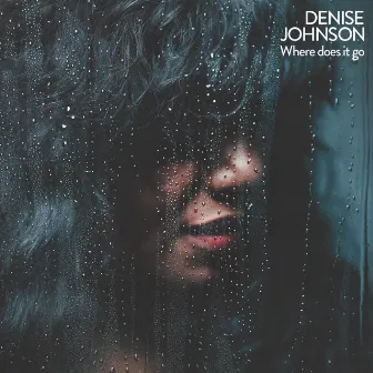 Where Does It Go by Denise Johnson