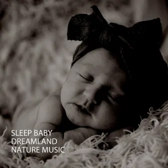 Sleep Baby: Dreamland Nature Music by Rock a Bye Baby