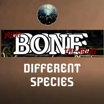 Different Species by 