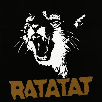 Wildcat by Ratatat