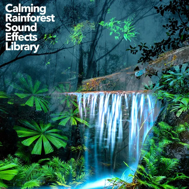 Calming Rainforest Sound Effects Library