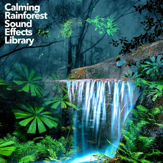 Calming Rainforest Sound Effects Library by Sound of Rain