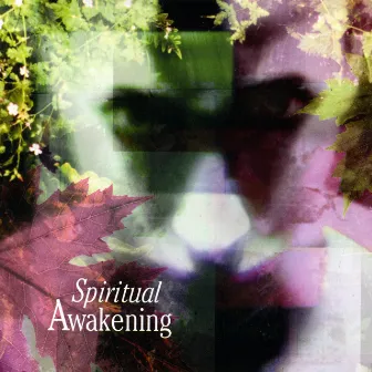 Yoga Meditations : Spiritual Awakening by George Jamison