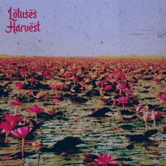 Lotuses Harvest vol. 2 by yhoal ghun