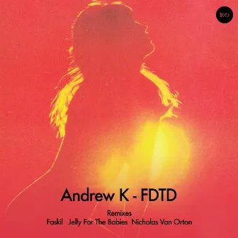 FDTD by Andrew K