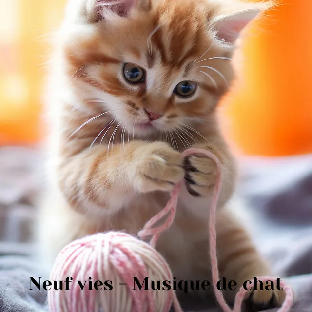 Chat heureux