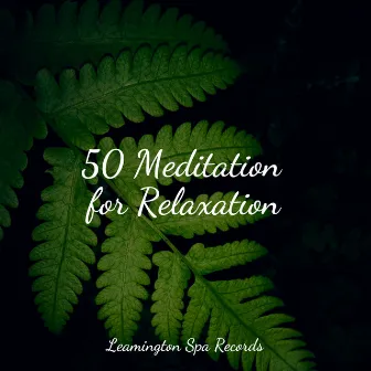 50 Meditation for Relaxation by Music to Relax in Free Time