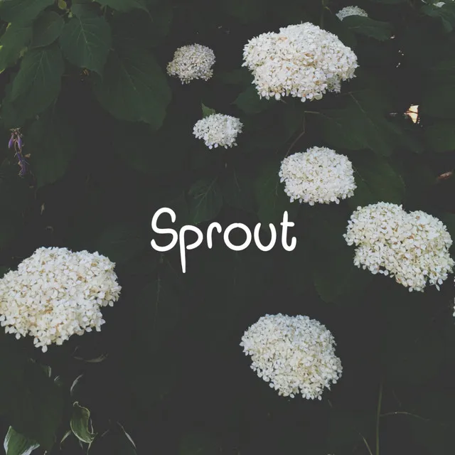 Sprout