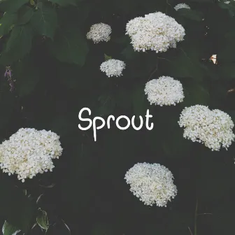 Sprout by mava