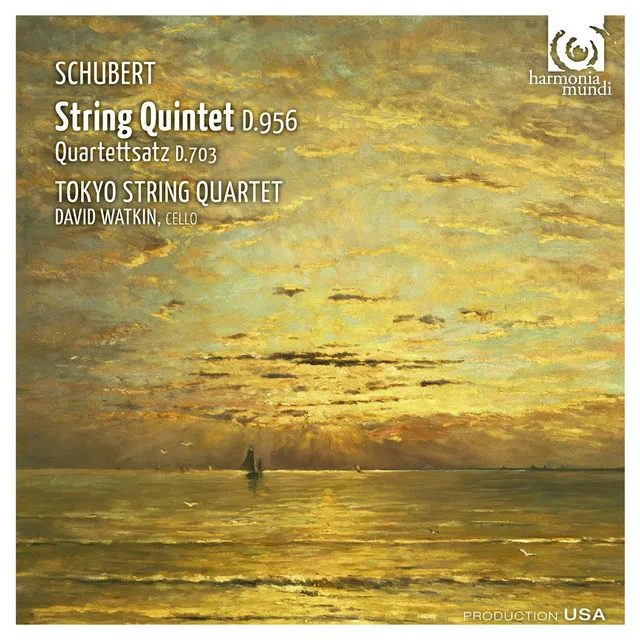 String Quintet in C Major, Op. 163 D. 956: II. Adagio