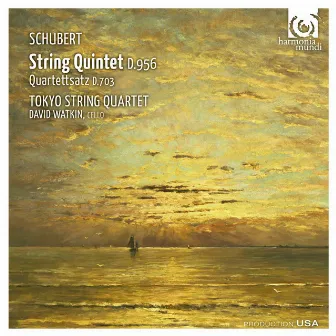 Schubert: String Quintet D.956, Quartettsatz D.703 by David Watkin