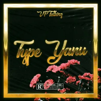 Type Yanu by VP Talking