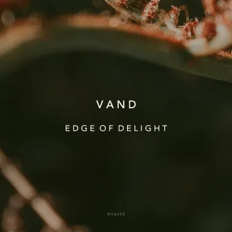 Edge of Delight by Vand