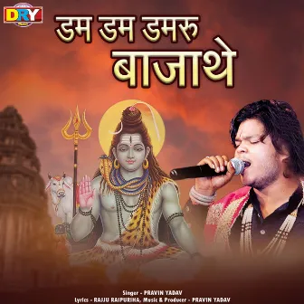 Dam Dam Damaru Bajathe by Pravin Yadav