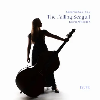 Foley: The Falling Seagull by Sasha Witteveen